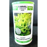 Насіння салату Одеський Кучерявець (Польща), 0,5 кг (банка)