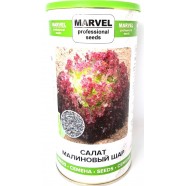 Насіння салату Малиновий Куля (Україна), Marvel, 0,5кг