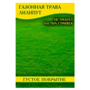Насіння газонної трави Ліліпут, 1 кг