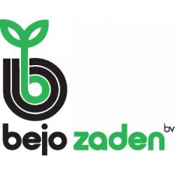 Bejo Zaden