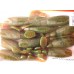 Принада-Їстівка силіконова Winner, TBR-019, 75мм, колір № 14