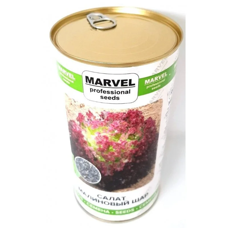 Насіння салату Малинова Куля, Україна, Marvel, банка 500г