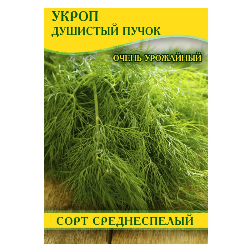 Насіння кропу Ажур, 1кг