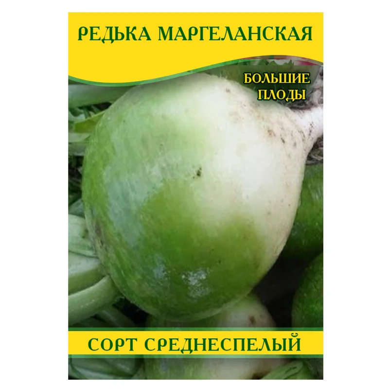 Семена редьки Маргеланська, 100г