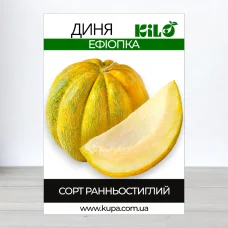 Семена дыни Ефиопка, 0,5кг