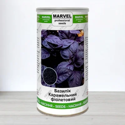 Насіння базиліка Карамельний Фіолетовий, Узбекистан, Marvel, банка 500г