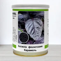 Семена базилика фиолетового Карамель, Украина, Marvel, банка 100г