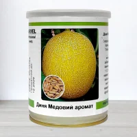 Семена дыни Медовий Аромат, Молдова, Marvel, банка 100г
