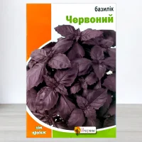 Семена базилика Червоного, Яскрава, 5г