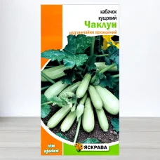Семена кабачку кущового Чаклун, Яскрава, 3г