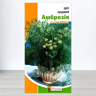 Насіння кропу кущового Амброзiя, Яскрава, 5г