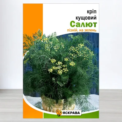 Семена укропа кущового Салют, Яскрава, 20г