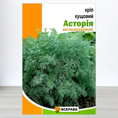 Семена укропа кущового Астория, Яскрава, 20г
