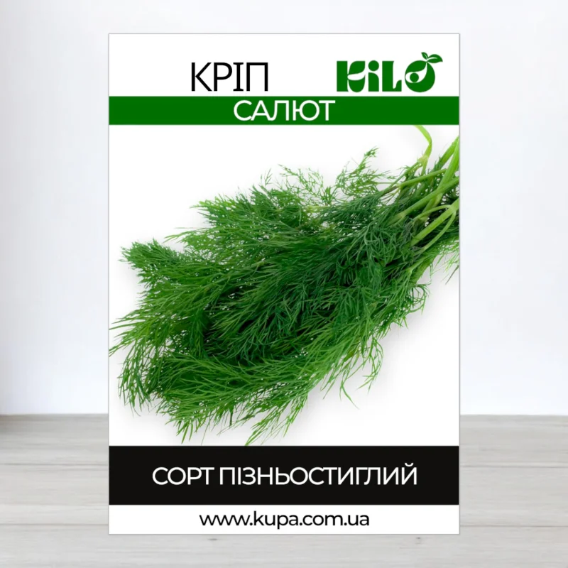 Насіння кропу Салют, 1кг