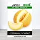 Семена дыни Колгоспниця, 100г