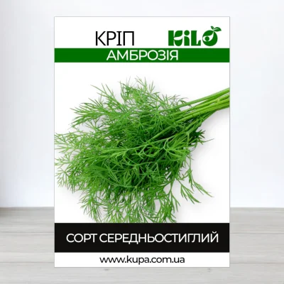 Насіння кропу Амброзія, 100г