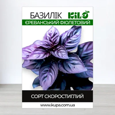 Насіння базиліка Єреванський Фіолетовий, 100г