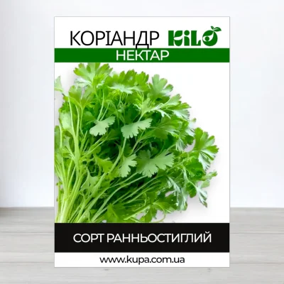 Насіння коріандра Кінза Нектар, 100г