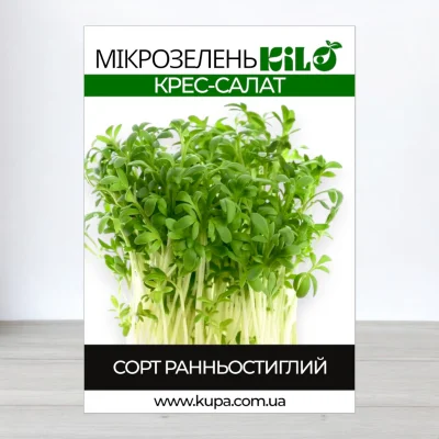 Насіння мікрозелені Крес-Салату, 100г