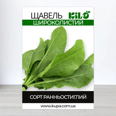 Насіння щавлю Широколистий, 100г