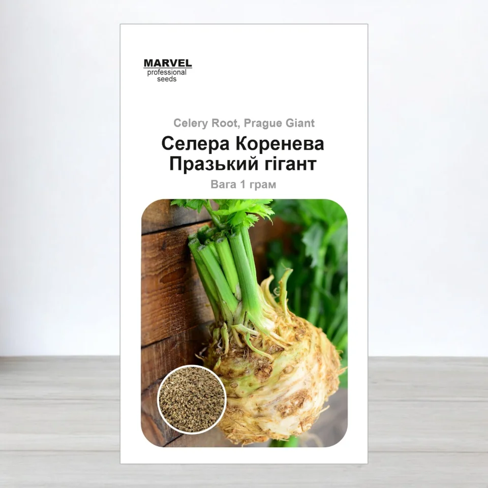 Насіння селери