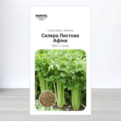Насіння селери листової Афіна, Польща, Marvel, 1г