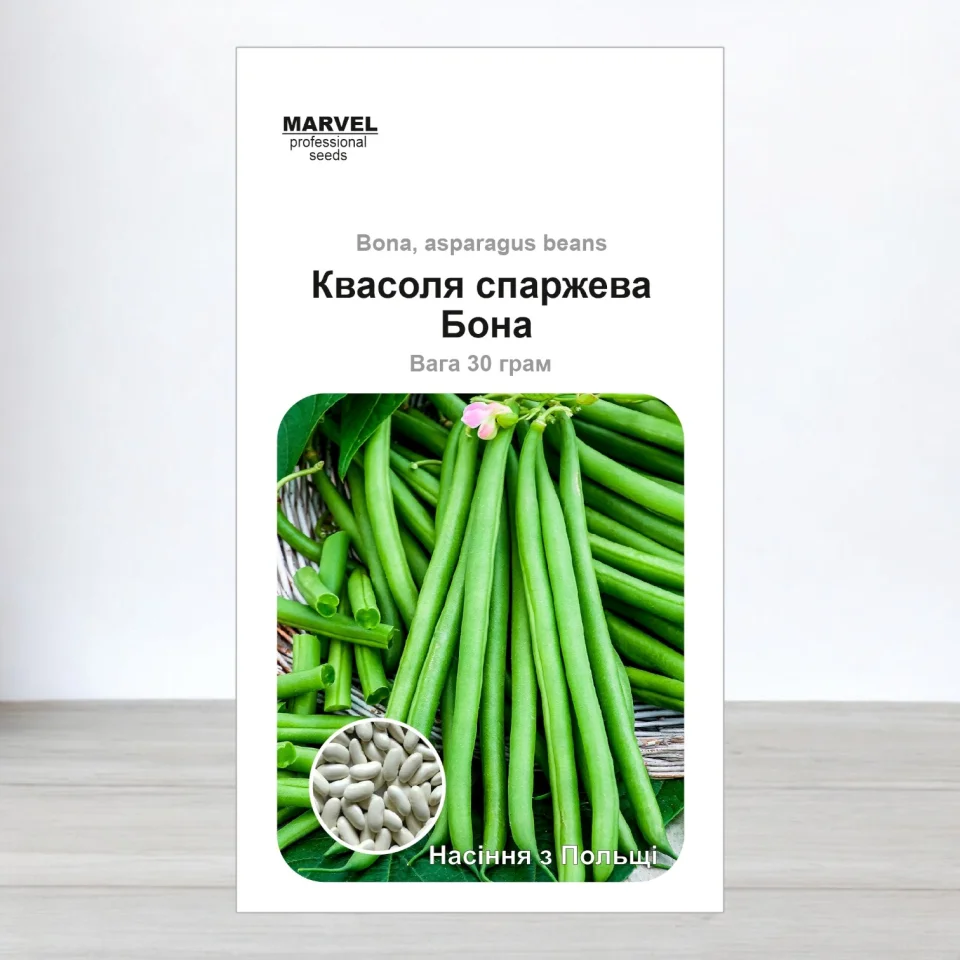 Насіння квасолі