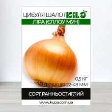 Цибуля-шалот сиянка Лира (Еллоу Мун), факция 22-48мм, 0,5кг
