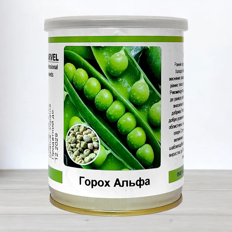 Насіння гороху