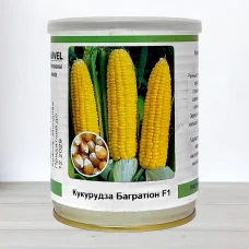 Насіння кукурудзи цукрової бондюель Багратіон F1, Молдова, Marvel, банка 100г