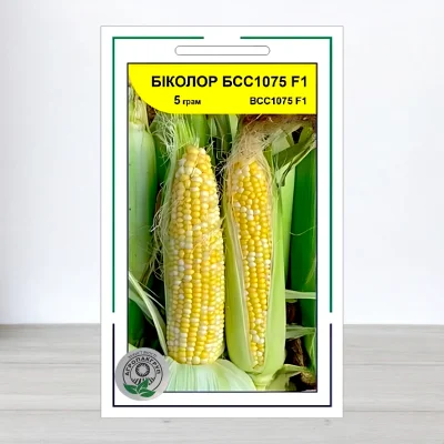 Семена кукурузы цукровои Биколор БСС1075 F1, АПГ Syngenta Seeds BV, Нидерланди, 5г