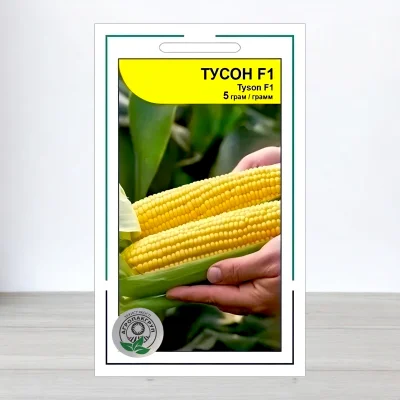 Семена кукурузы цукровои Тусон F1, АПГ Syngenta Seeds BV, Нидерланди, 5г