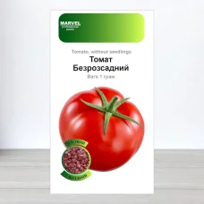 Семена инкрустоване томата Безрозсадний, Молдова, Marvel, 1г