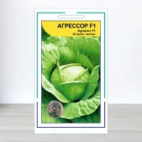 Семена капусты билоголовои Агресор F1, АПГ Syngenta Seeds BV, Нидерланди, 20 насинин