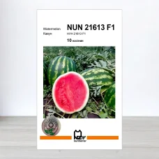 Семена арбуза НУН 21613 F1, АПГ Nunhems, Нидерланди, 10 насинин