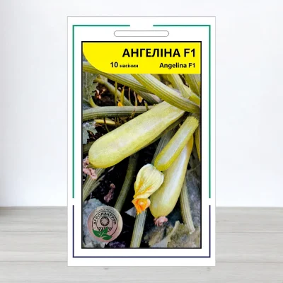 Семена кабачка Ангелина F1, АПГ Syngenta Seeds BV, Нидерланди, 10 насинин
