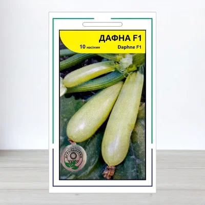 Семена кабачка Дафна F1, АПГ Syngenta Seeds BV, Нидерланди, 10 насинин