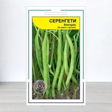 Семена фасоли Серенгети, АПГ Syngenta Seeds BV, Нидерланди, 20 насинин