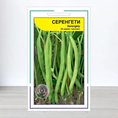 Семена фасоли Серенгети, АПГ Syngenta Seeds BV, Нидерланди, 20 насинин