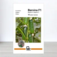 Семена огурца Барвина F1, АПГ Nunhems, Нидерланди, 10 насинин