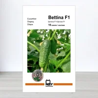 Семена огурца Бетина F1, АПГ Nunhems, Нидерланди, 10 насинин