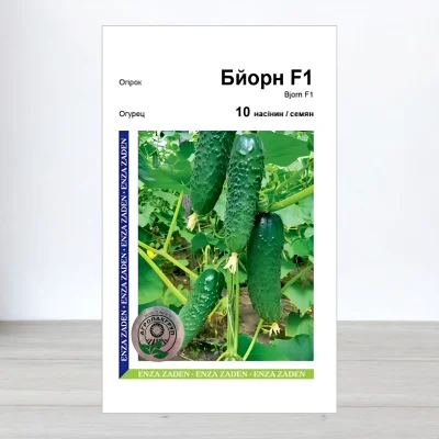 Насіння огірка Бйорн F1, АПГ Enza Zaden, Нідерланди, 10 насінин