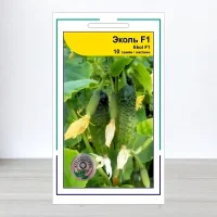 Семена огурца Еколь F1, АПГ Syngenta Seeds BV, Нидерланди, 10 насинин