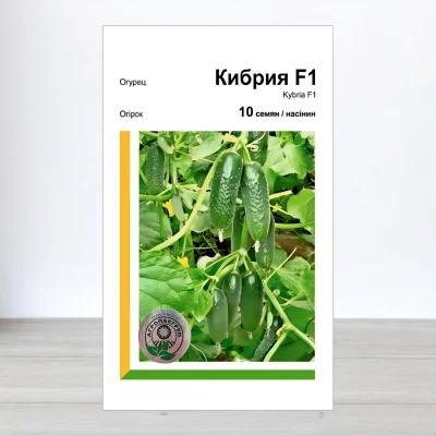 Семена огурца Кибрия F1, АПГ Rijk Zwaan, Нидерланди, 10 насинин