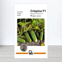 Семена огурца Криспина F1, АПГ Nunhems, Нидерланди, 15 насинин