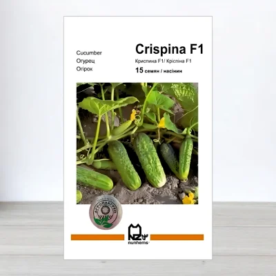 Семена огурца Криспина F1, АПГ Nunhems, Нидерланди, 15 насинин