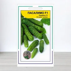 Насіння огірка Пасалімо F1, АПГ Syngenta Seeds BV, Нідерланди, 10 насінин