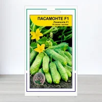 Насіння огірка Пасамонте F1, АПГ Syngenta Seeds BV, Нідерланди, 10 насінин