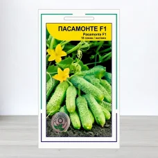 Насіння огірка Пасамонте F1, АПГ Syngenta Seeds BV, Нідерланди, 10 насінин