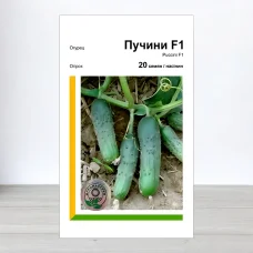 Насіння огірка Пучіні F1, АПГ Rijk Zwaan, Нідерланди, 20 насінин